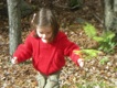 Red sweater in the woods